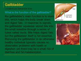 Muscular organ where digestion continues. 2 08 Understand The Functions And Disorders Of The Digestive System Ppt Video Online Download