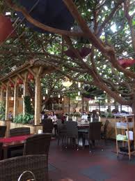 Die 30 schönsten sorten, stellen wir auf plantopedia vor. Photo1 Jpg Picture Of Bambus Garten Dusseldorf Tripadvisor