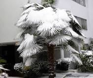 Image result
