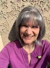 Chimney repair and rebuild with multiple flues