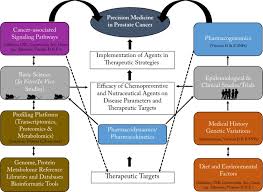 However, if your cancer has. Nutraceuticals In Prostate Cancer Therapeutic Strategies And Their Neo Adjuvant Use In Diverse Populations Npj Precision Oncology
