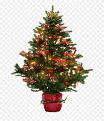 Download transparent christmas tree png for free on pngkey.com. Image Small Christmas Tree Png Free Transparent Png Clipart Images Download