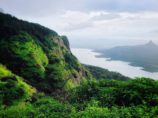 Western Ghats (Agasthyamalai & Periyar Clusters) Image 3
