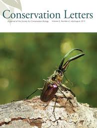 Image result for Lefebvrea grantii