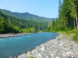 Pin By Samantha Panzera On Wa Hikes Olympic National Park Olympic National Forest National Parks