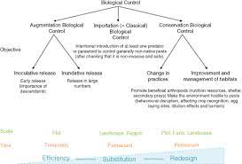 Adults are only about 2 mm long. Agroecological Transition Keys Springerlink