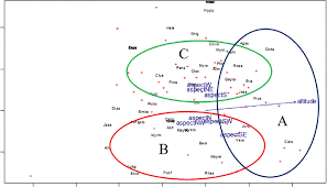 Image result for Pittosporum abyssinicum