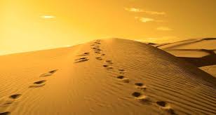 Who are the 'Salaf'? - Islam21c