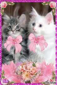 Daniel Astier (danielastier32)