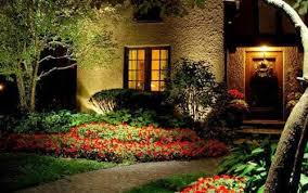 Check spelling or type a new query. 6 Best Plant Types For North Texas Landscapes Creative Nightscapes