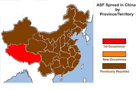We did not find results for: Chinese Territories Google Search