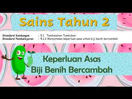 Ficha online de menamakan keperluan asas tumbuhan para tahun 2. Keperluan Asas Biji Benih Bercambah Cikgootube Sainstahun2 Youtube