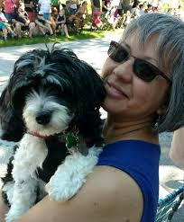 2017 Middlebury Summer Swim Team