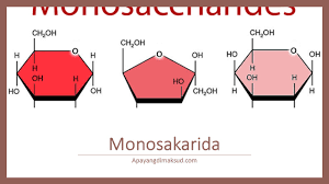 Check spelling or type a new query. Monosakarida Pengertian Contoh Jenis Fungsi Struktur Sifat Konsep Penting Dan Penjelasan Apayangdimaksud Com