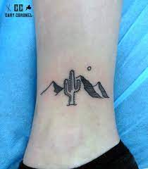 10 types of cactus:faries castle cactus,rebutia krainziana cactus,natocactus silverball,fish hook cactus,echinobivia cactus,cereus peruvianus cristata. Pin On Tattoos