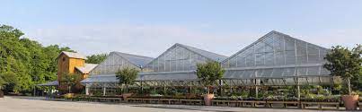 Wilson Nurseries Linkedin