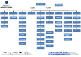 organization chart