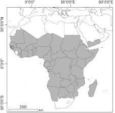 Image result for Cayratia ibuensis