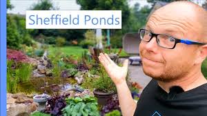 Nice Wildlife Ponds in Sheffield