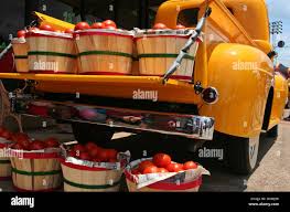 Image result for Federal Yellow 1950 Truck