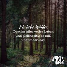Visual Statements Ich Liebe Walder Dort Ist Alles Voller Leben Und Gleichzeitig So Still Und Unberuhrt Spruche Z Zitate Natur Spruche Natur Spruche Zitate