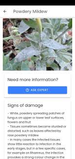 2) click ok to start reacting to video. Plantin 1 0 34 Download For Android Apk Free
