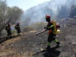 Un operatore di forestas impegnato in un incendio (foto forestas). Incendi Boschivi In Sardegna Ennesima Giornata Di Fuoco 20 I Roghi