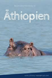 Momente In Athiopien Cewe Fotobuch Pure Chronic Wanderlust Athiopien Afrika Reisen Reisen