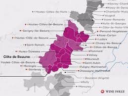 A Simple Guide To Burgundy Wine With Maps Wine Folly Wine Folly Burgundy Wine Map Burgundy Wine