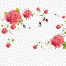 My wallpapers are available on two materials; Garden Roses Pink Paper Wall Pattern Png 1200x1200px Beach Rose Artificial Flower Cut Flowers Flora Floral