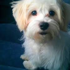 Congratulations to Real Estate Center Senior Editor David Jones