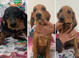 Barbara Arcuri (@arcuri_barbara)