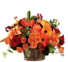 Check spelling or type a new query. Ftd Nature S Bounty Basket Gw9fa Ftd Get Well Flowers Canada Flowers Ca