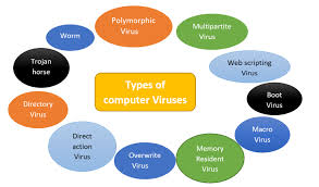 Computer virus help and information including signs of viruses, how viruses infect, myths, definitions, and other virus properties. Types Of Computer Viruses