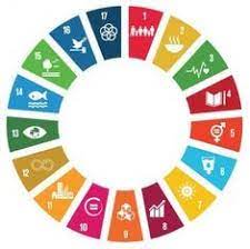 Are the same), this figure rises to 72%*** Un Sdgs Logo The 2030 Agenda For Sustainable Development Adopted By T Un Sustainable Development Goals Sustainable Development Sustainable Development Design
