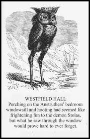 Stolas Character Giant Bomb The subspecies that occurs in florida and the caribbean tends to be slightly smaller, with whiter spots, than burrowing owls of the west. stolas character giant bomb