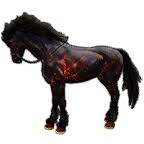 These two horses are considered purebred for color because they have either all black or all white. Bdo Dream Horse Guide Black Desert Online Grumpyg