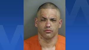 Man arrested with guns, more than 1K grams of drugs after fleeing Collier  County deputies