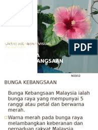 For a long time, i thought it was incredibly hideous. Bunga Raya