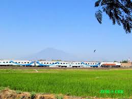 We did not find results for: Elevation Of Cirebon City West Java Indonesia Topographic Map Altitude Map