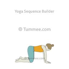 Table Top Pose Bharmanasana Variations 76 Variations Of Bharmanasana Tummee Com Prenatal Yoga Sequence Yoga Poses Restorative Yoga Sequence