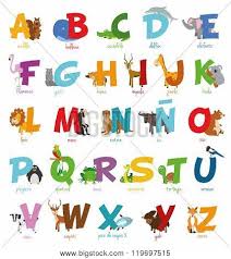 What animals start with the letter you in spanish? Cute Cartoon Zoo Illustrated Alphabet With Funny Animals Spanish Alphabet Learn To Read Isolated Vector Illustration Poster Id 119697515