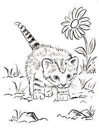 Maybe you would like to learn more about one of these? Kitten Printable Coloring Pages For Girls Novocom Top