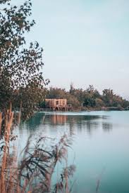 Cabane sur l eau sorgues. L Hotel Coucoo Grands Cepages Ou Partir En Week End En France Vaucluse Vogue Paris