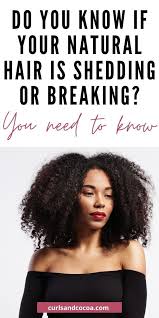 Knot no more moisturizes, provides slip, increases elasticity (preventing hair from breaking), and eases the comb my hair is always growing and less breakage/shedding! How To Stop Hair Breakage And Shedding 9 Tips To Help You Out Curls And Cocoa In 2020 Stop Hair Breakage Coarse Hair Treatments Natural Hair Styles