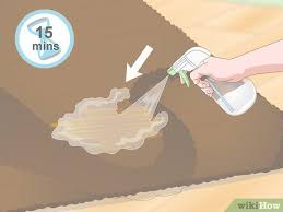 Bactodes, ein reiniger mit bakterien, die die stoffe zersetzen, die für den gestank verantwortlich sind (z.b. Geruch Von Hundeurin Aus Teppichen Entfernen Wikihow