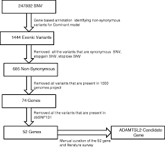 Systematic Data Querying Of Large Pediatric Biorepository Identifies Novel Ehlers Danlos Syndrome Variant Bmc Musculoskeletal Disorders Full Text