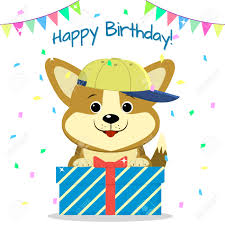 Corgi dog, corgi, cartoon corgi, corgeek, proud corgi, corgi geek, corgi cartoon, intellectual corgi, smart corgi, happy corgi, intellegent corgi, pembroke welsh corgi, brainy corgi, richard402. Puppy Corgi In A Baseball Cap Sits And Holds A Box With A Gift On The Background Of Confetti And Flags Happy Birthday Cartoon Flat Style Vector Royalty Free Cliparts Vectors And