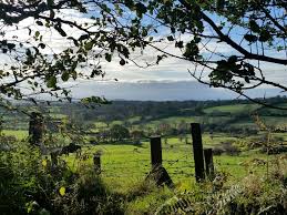 Beacon Woods Somerset England England Somerset Uk Travel