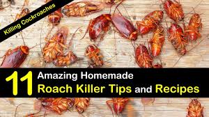 They even eat things like paper, cardboard, carpet and though breathing them in in small quantities may not be an issue, but inhaling them in large doses can pose. Killing Cockroaches 11 Amazing Homemade Roach Killer Tips And Recipes